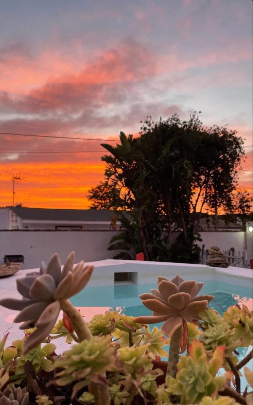 Tapayia Apartment Chiclana de la Frontera